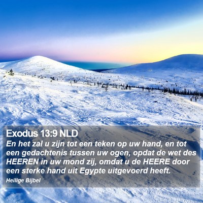 Exodus 13:9 NLD Bible Verse Image