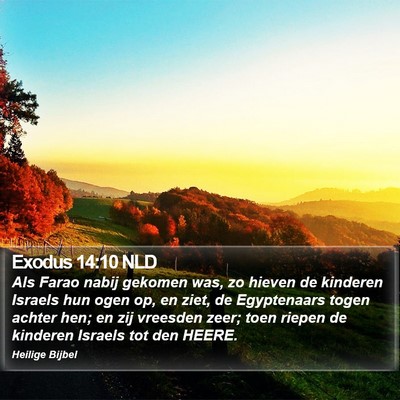 Exodus 14:10 NLD Bible Verse Image