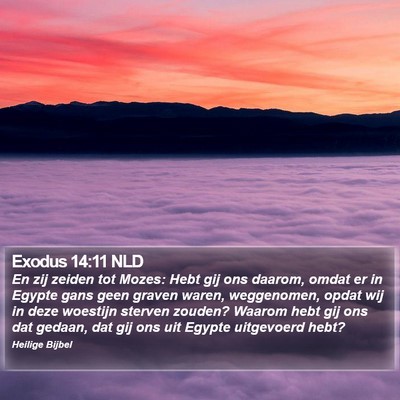 Exodus 14:11 NLD Bible Verse Image