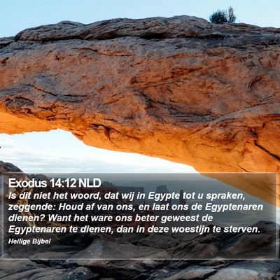 Exodus 14:12 NLD Bible Verse Image