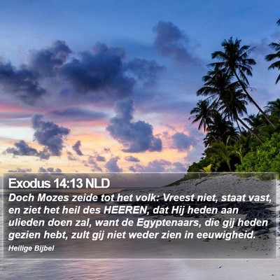 Exodus 14:13 NLD Bible Verse Image