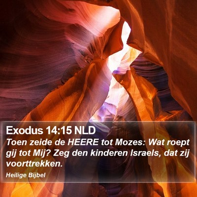 Exodus 14:15 NLD Bible Verse Image