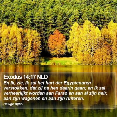 Exodus 14:17 NLD Bible Verse Image