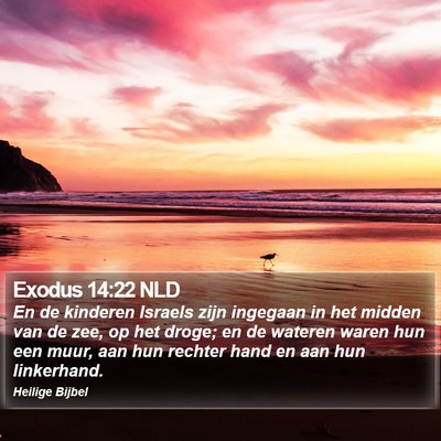 Exodus 14:22 NLD Bible Verse Image