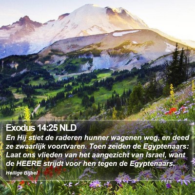 Exodus 14:25 NLD Bible Verse Image