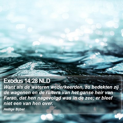 Exodus 14:28 NLD Bible Verse Image