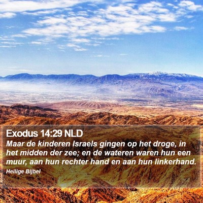 Exodus 14:29 NLD Bible Verse Image