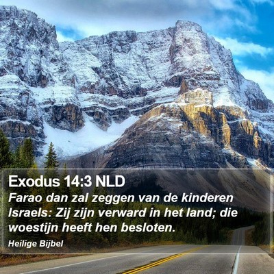 Exodus 14:3 NLD Bible Verse Image