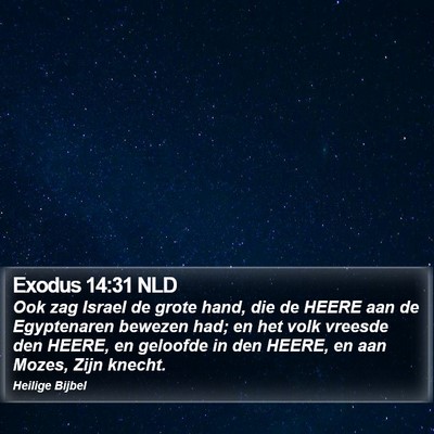 Exodus 14:31 NLD Bible Verse Image