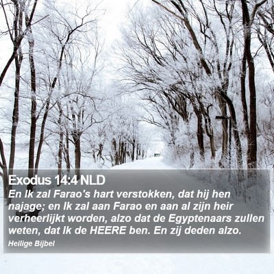 Exodus 14:4 NLD Bible Verse Image