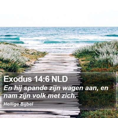 Exodus 14:6 NLD Bible Verse Image