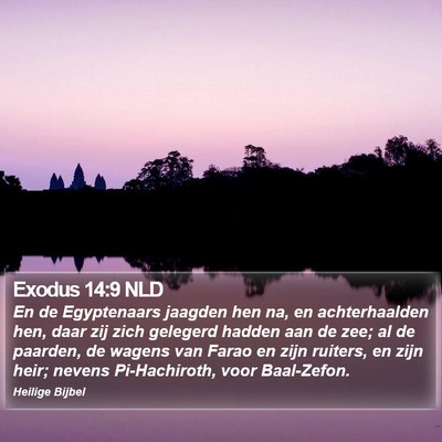 Exodus 14:9 NLD Bible Verse Image