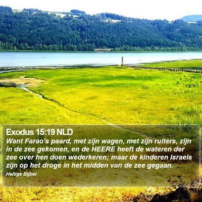 Exodus 15:19 NLD Bible Verse Image