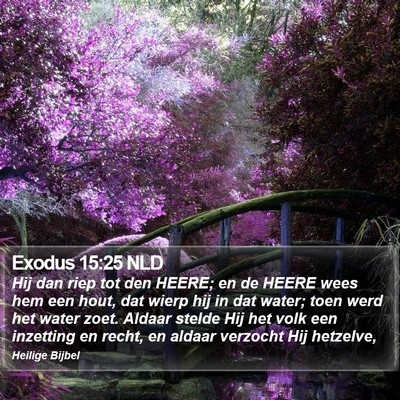 Exodus 15:25 NLD Bible Verse Image