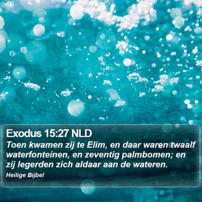 Exodus 15:27 NLD Bible Verse Image