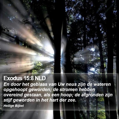Exodus 15:8 NLD Bible Verse Image