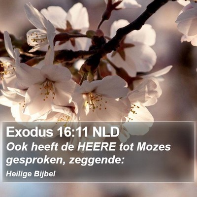 Exodus 16:11 NLD Bible Verse Image
