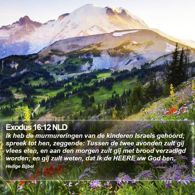 Exodus 16:12 NLD Bible Verse Image
