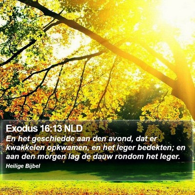 Exodus 16:13 NLD Bible Verse Image