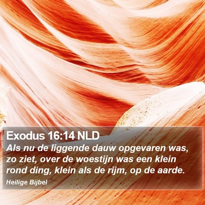 Exodus 16:14 NLD Bible Verse Image