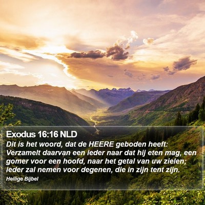 Exodus 16:16 NLD Bible Verse Image