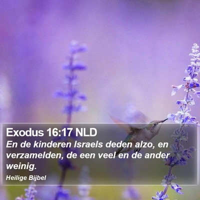 Exodus 16:17 NLD Bible Verse Image