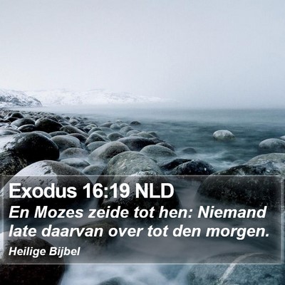 Exodus 16:19 NLD Bible Verse Image