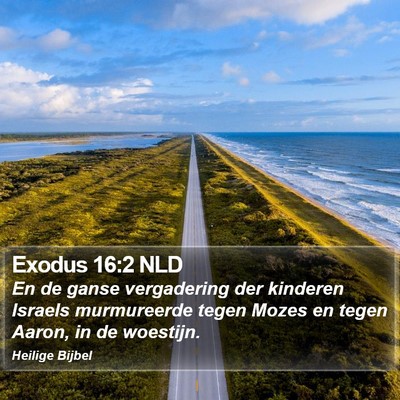 Exodus 16:2 NLD Bible Verse Image