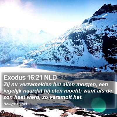 Exodus 16:21 NLD Bible Verse Image