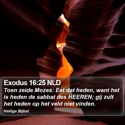 Exodus 16:25 NLD Bible Verse Image