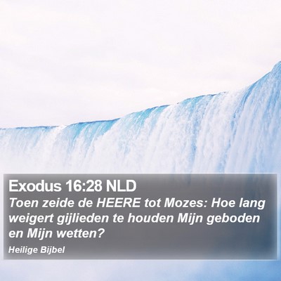 Exodus 16:28 NLD Bible Verse Image
