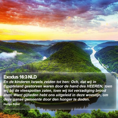 Exodus 16:3 NLD Bible Verse Image