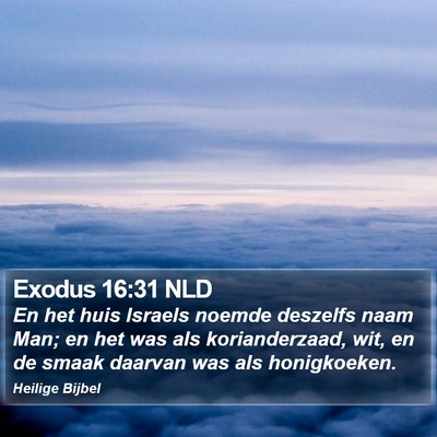 Exodus 16:31 NLD Bible Verse Image