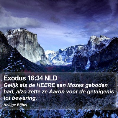Exodus 16:34 NLD Bible Verse Image