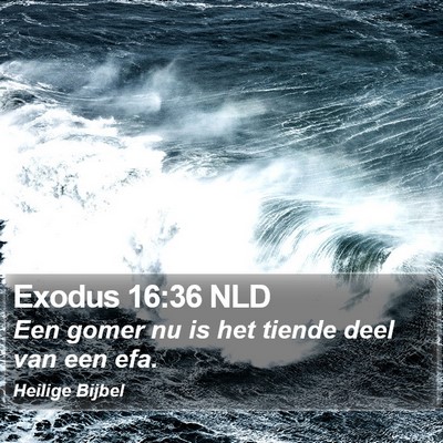 Exodus 16:36 NLD Bible Verse Image