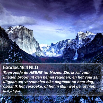 Exodus 16:4 NLD Bible Verse Image