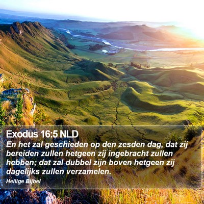 Exodus 16:5 NLD Bible Verse Image