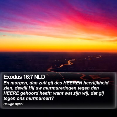 Exodus 16:7 NLD Bible Verse Image