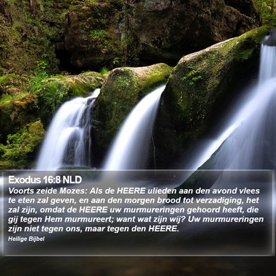 Exodus 16:8 NLD Bible Verse Image