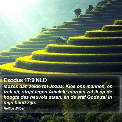 Exodus 17:9 NLD Bible Verse Image
