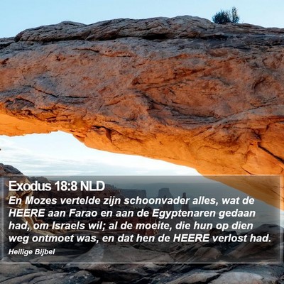 Exodus 18:8 NLD Bible Verse Image