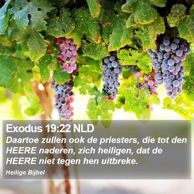 Exodus 19:22 NLD Bible Verse Image