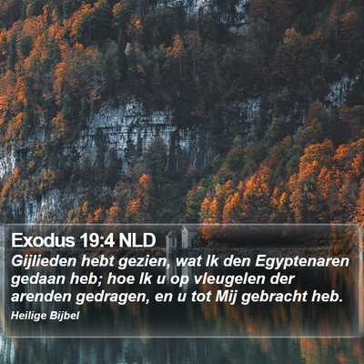Exodus 19:4 NLD Bible Verse Image