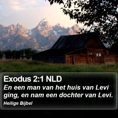 Exodus 2:1 NLD Bible Verse Image