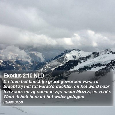 Exodus 2:10 NLD Bible Verse Image