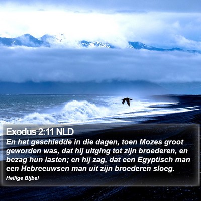 Exodus 2:11 NLD Bible Verse Image
