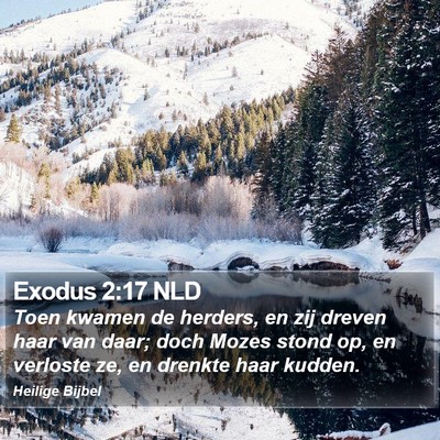 Exodus 2:17 NLD Bible Verse Image