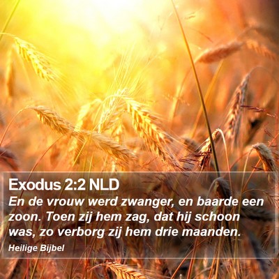 Exodus 2:2 NLD Bible Verse Image