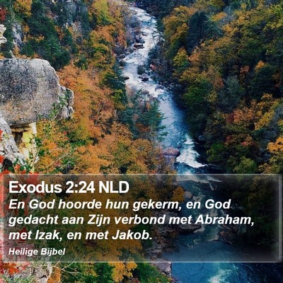 Exodus 2:24 NLD Bible Verse Image