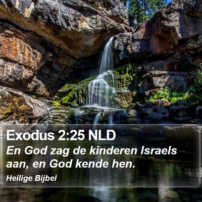 Exodus 2:25 NLD Bible Verse Image